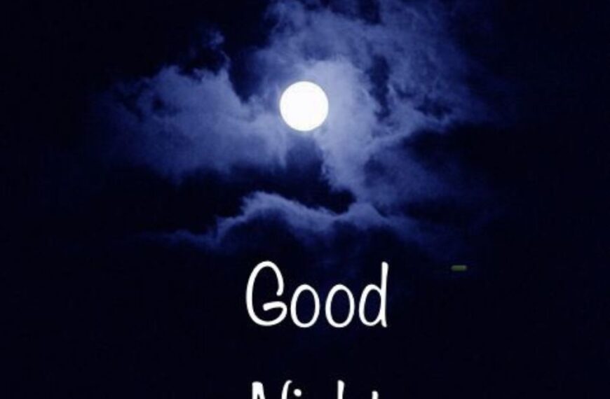 good night shayari in english