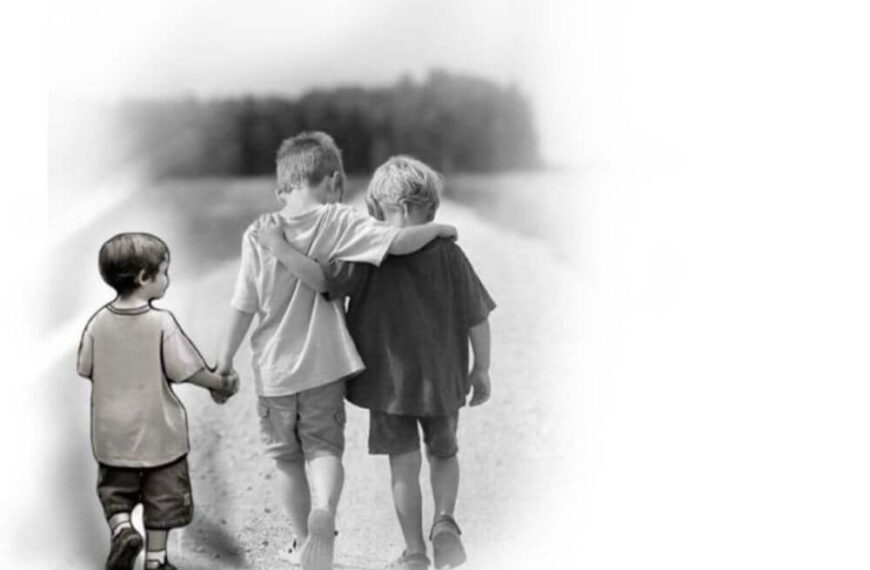 best brother shayari in english with emotions
