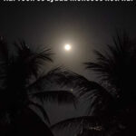 moon shayari in english