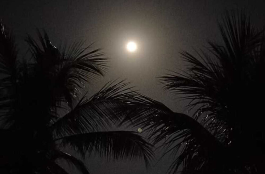 moon shayari in english