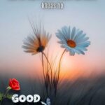Good Morning Shayari in English